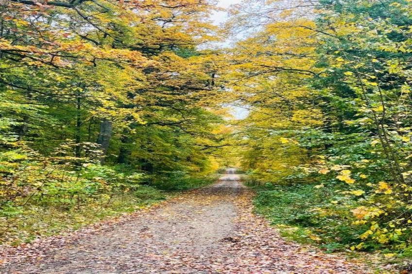 Holzhaus Andi - foto 26