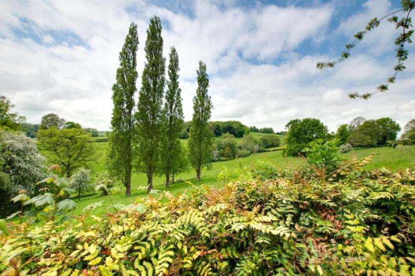 The Pig Barn - foto 18