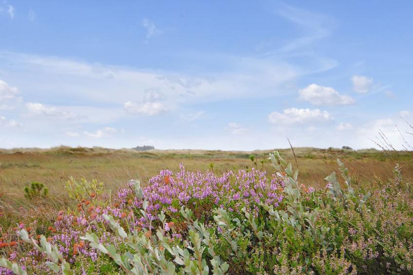 "Margrethe" - 1.1km from the sea in NW Jutland - foto 19