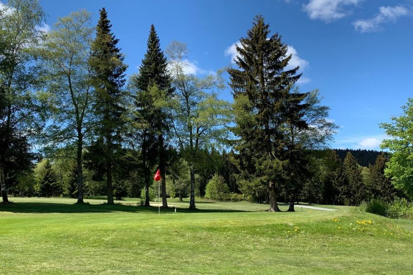 Am Südhang 11 - foto 39