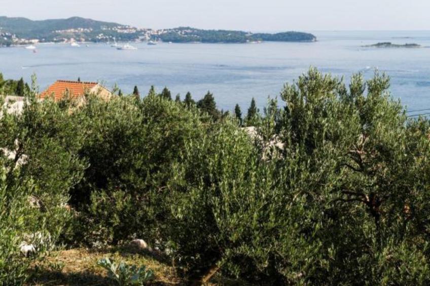 Apartments Olive - Comfort One Bedroom Apartment with Terrace and Sea View - Popolica 50 - foto 24