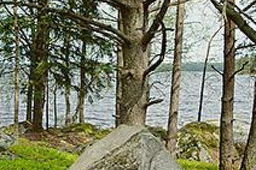 Mäntyniemi, pätiälän kartanon loma-asunn - foto 16