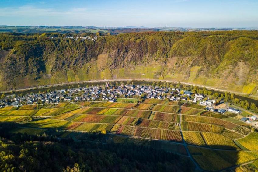 Ferienwohnung Jünkerath - foto 24