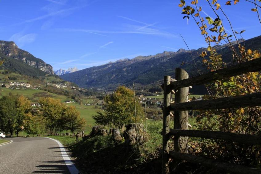 Residence Negritella - foto 35