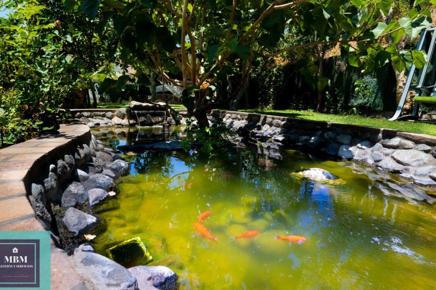 Villa "Villa Ignacita" mit privatem Pool - foto 44