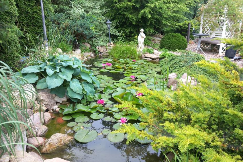 Magnolienhaus mit Sauna und Jacuzzi - foto 34