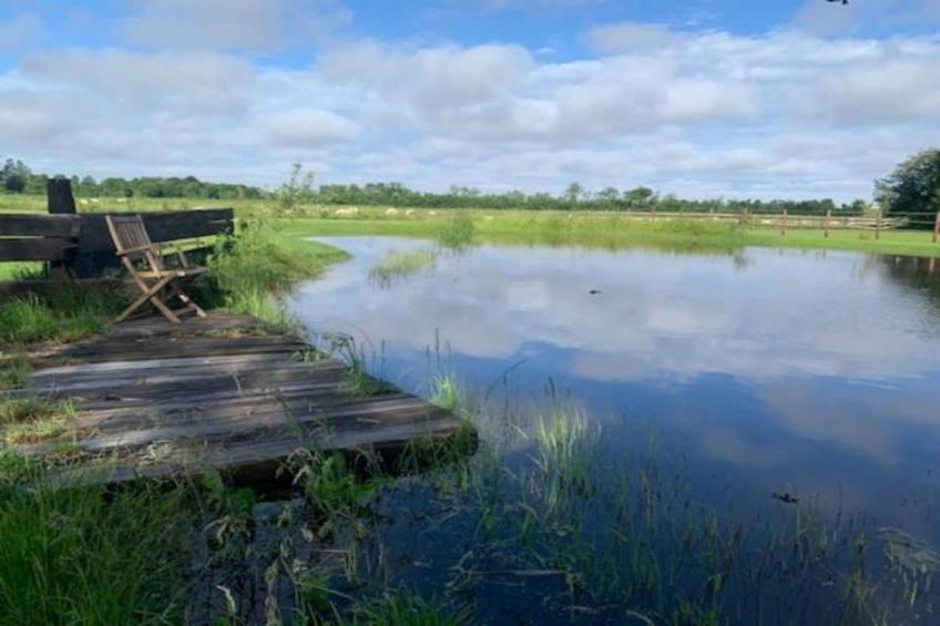 Recreatiepark Wiringherlant - foto 32