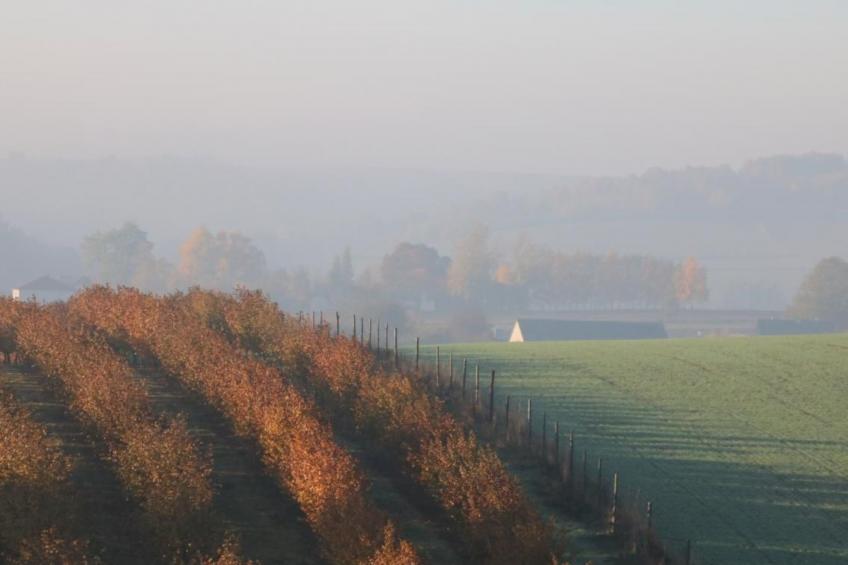 Villa mit gemeinschaftlichem Pool - foto 10