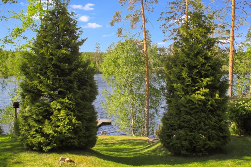 Rinne-expertti - foto 4