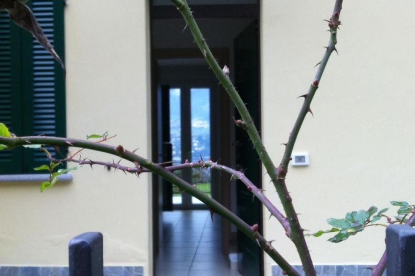 Villa zur alleinigen Nutzung mit 4 Wohnungen - foto 32