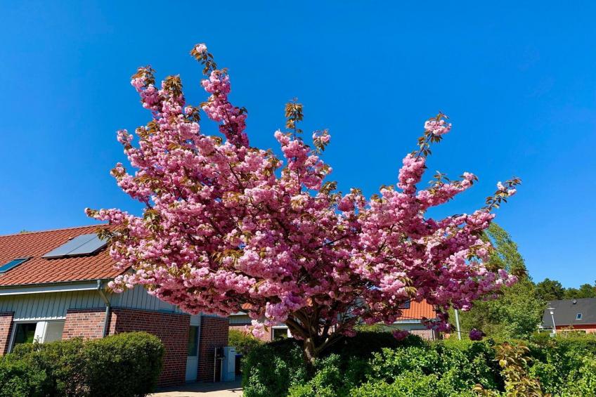 Ferienhaus in Röbel an der Müritz - foto 28