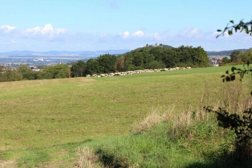 Haus Gisela - foto 24