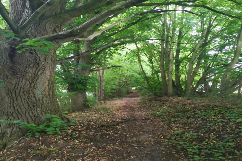 Mobilheim am Goldberger See - foto 37