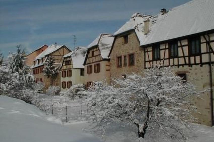 La Maison Bleue im Zentrum des Elsass in Bergheim - foto 2