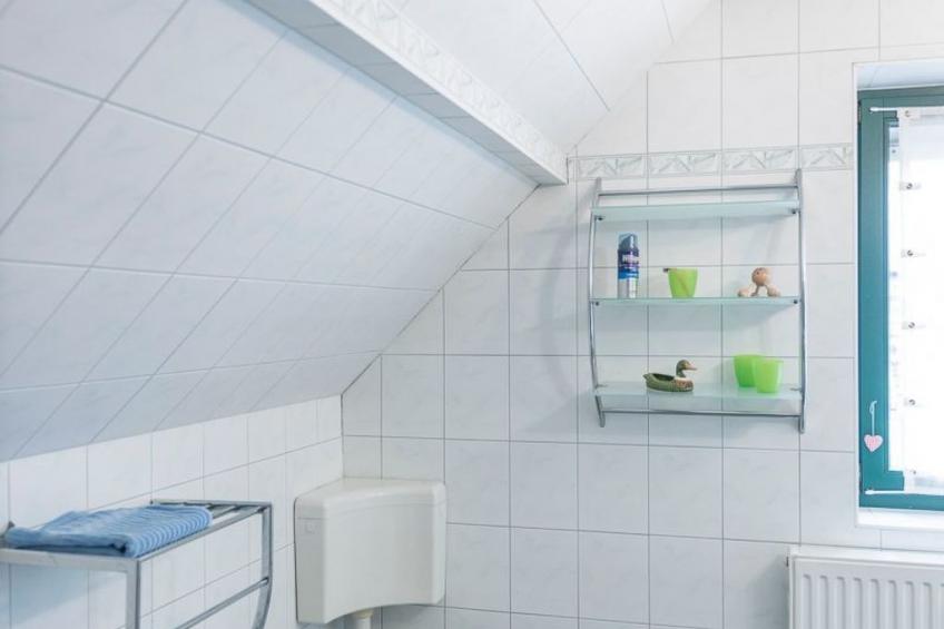 Löwenzahn - foto 13