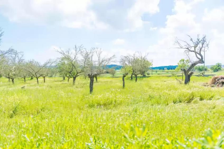 Casa Holganza - foto 24