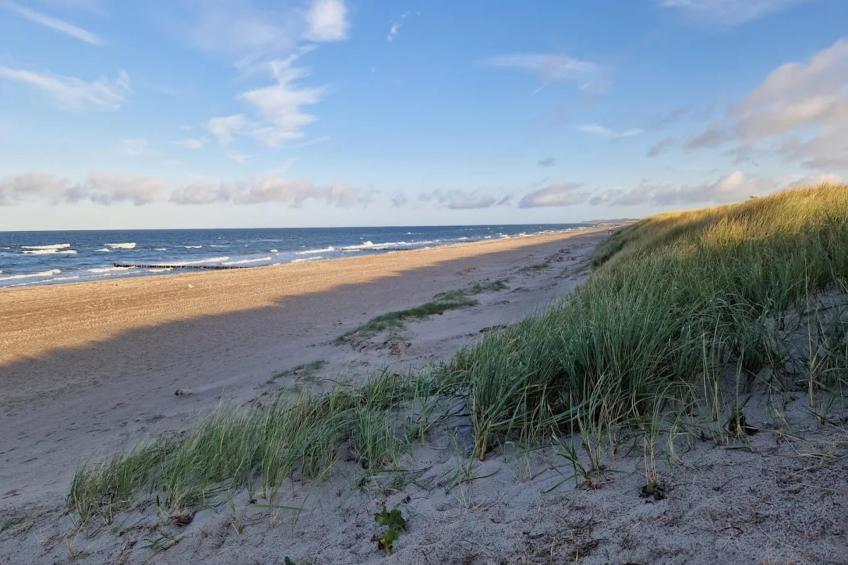Ferienhaus Küstenwald klein - Strandhotel Fischland - foto 18