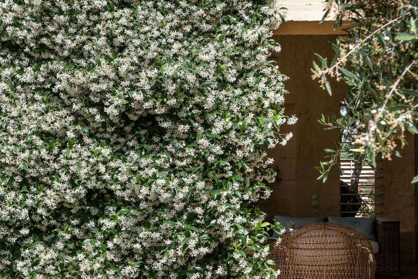 Villa Dimi Nähe Sandstrand Kalathas - foto 47