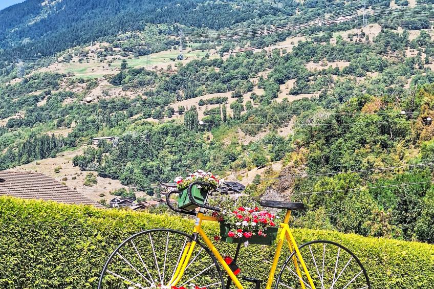 Bellentre Chalet le Pommier 5 - foto 49