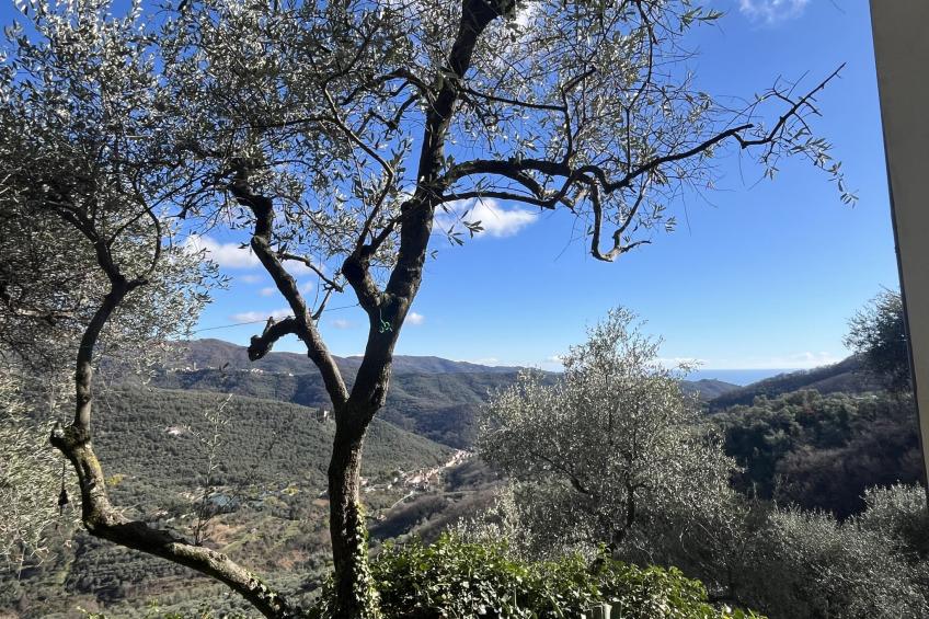 Casa Norvegia - foto 35