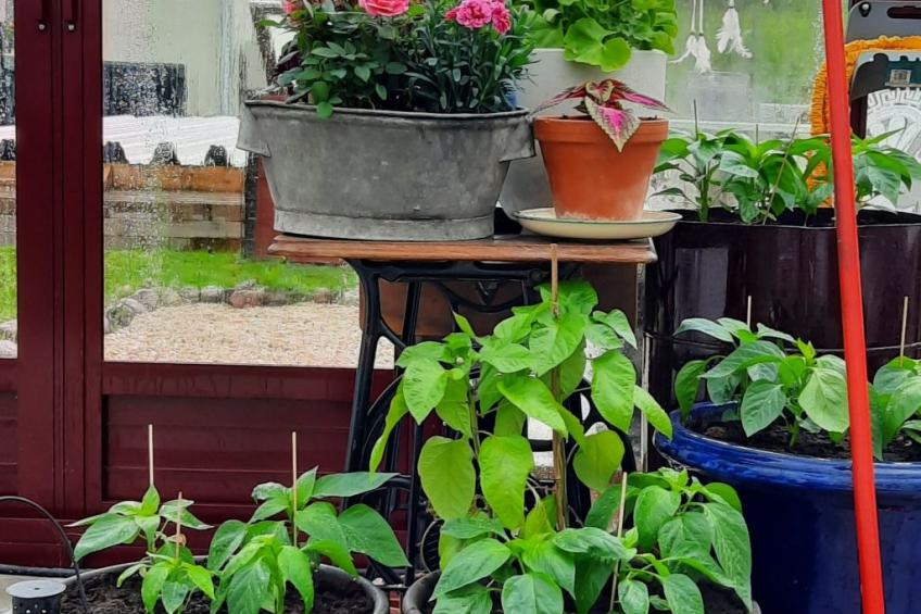 Bauernhaus-Wohnung bei Göta Älv in der Nähe von Göteborg - foto 38