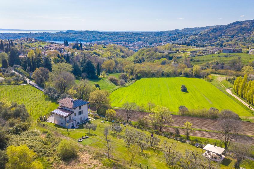 Ricomilla Holiday - Ulivo Innamorato - foto 2