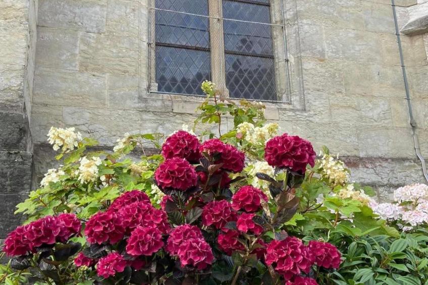 Charmante normannische Ferienwohnung les chataigniers 3 Zimmer - foto 35