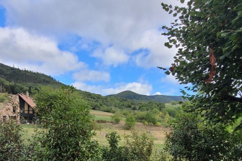 Haus Vosges in Breitenbach - foto 17