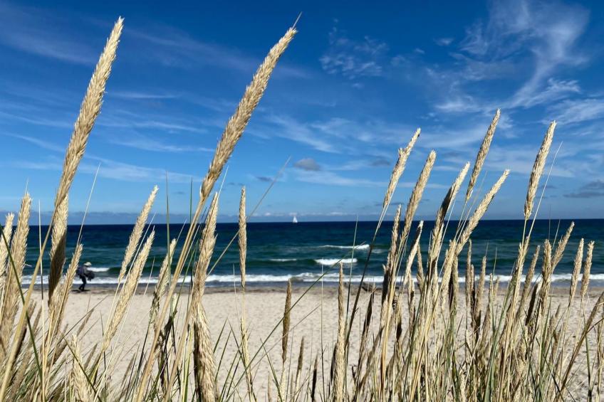 Herzlich willkommen im Ostseehaus am Naturstand - Ostseeblick! - foto 20