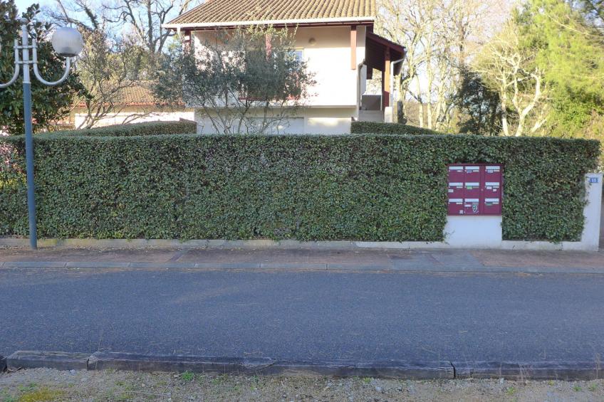 Les écureuils - foto 16