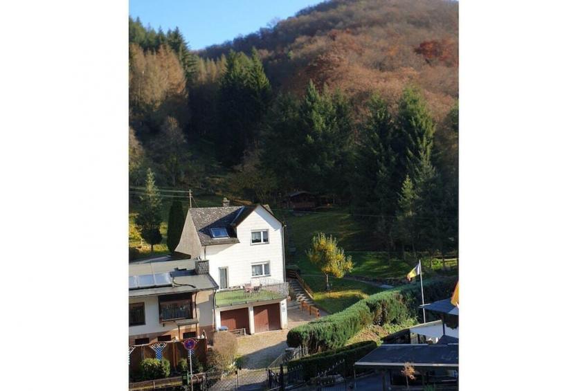 51031 - foto 6
