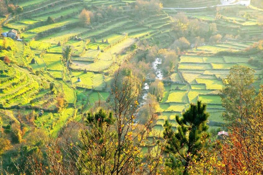 "Großmutters Häuschen" mit überdachter Terrasse - foto 12