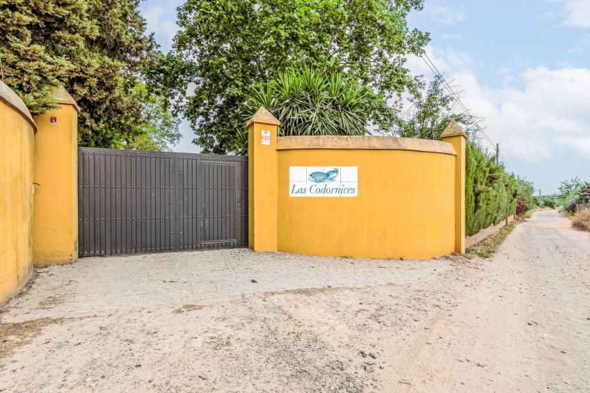 Las Codornices - foto 49