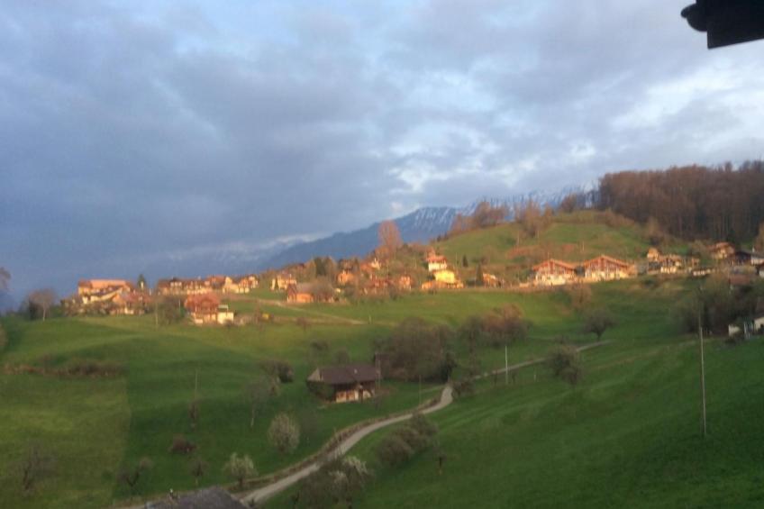 mit wunderschöner Aussicht - foto 6