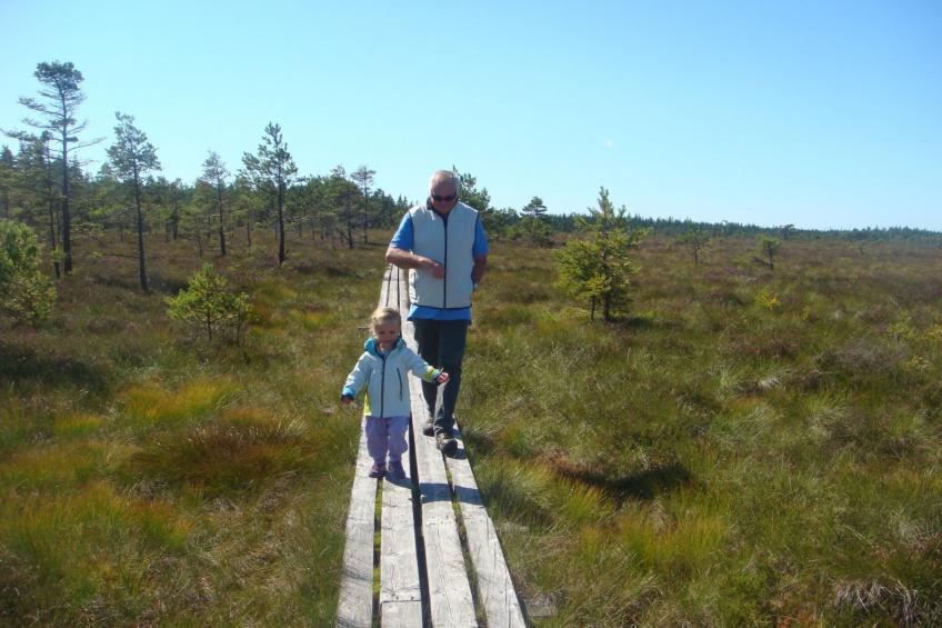 Rosenapartment - foto 35