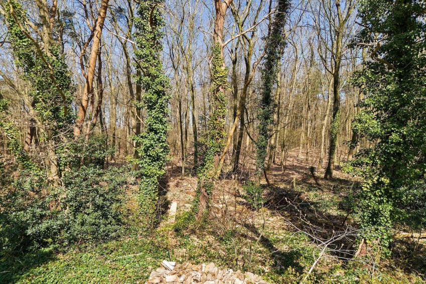 Ermerzand Retreat - foto 29