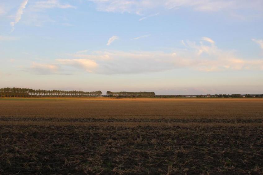 Biezenpolder - foto 28