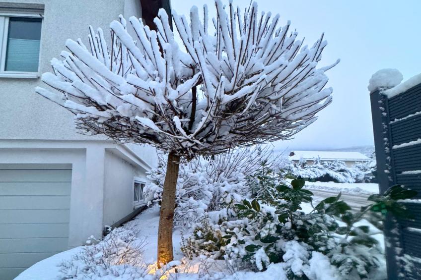 Casa Brocktega in Bestwig - foto 35