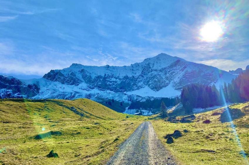 Chalet Bärgblüemli - foto 20