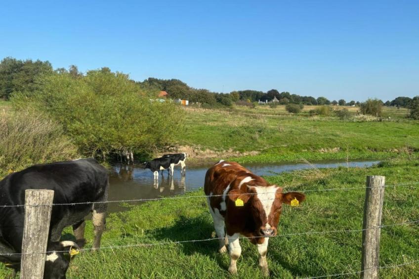 Vakantie bij Meeussen - Molendal 4 - foto 26