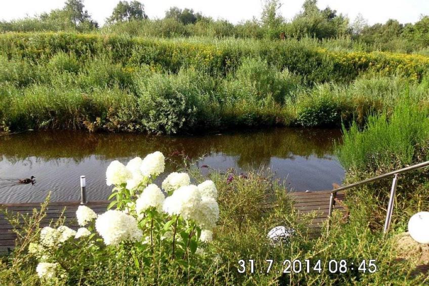 142950 - foto 2
