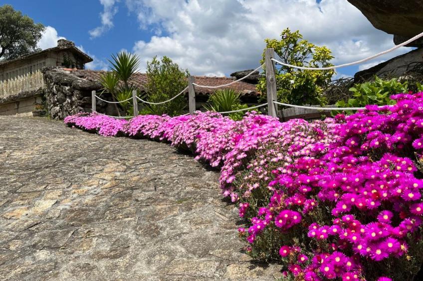 Casas das Olas 2 - Großartige Aussicht, 2 Pools, idealer Ort zum Entspannen und - foto 45