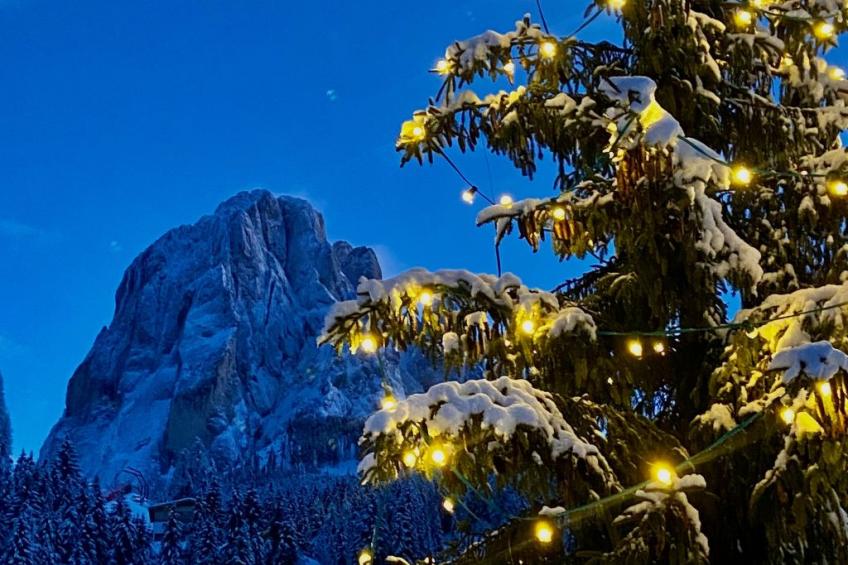 Cesa Vedla DOLOMITES - foto 21