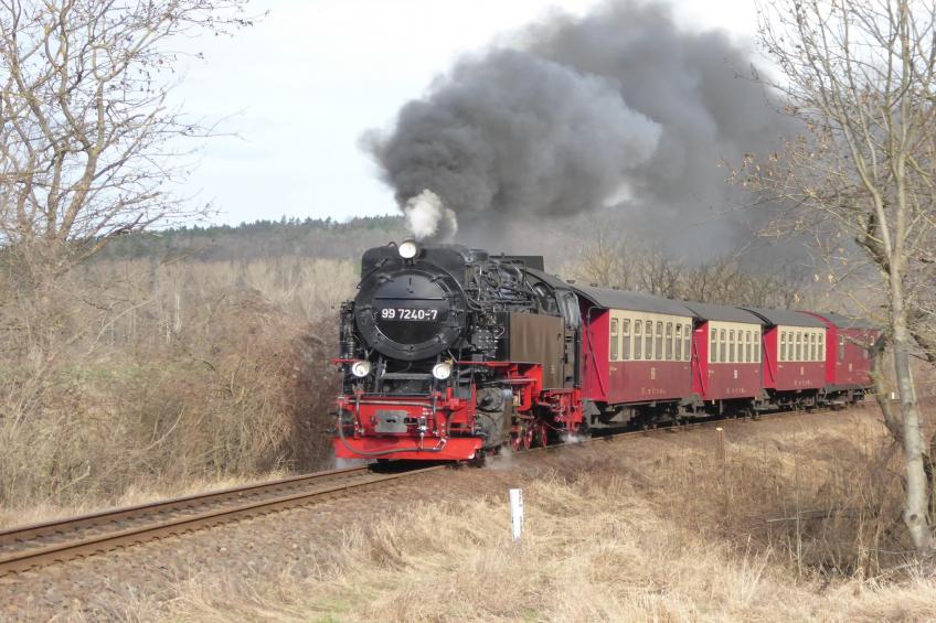 Teufelsmauerblick - foto 32