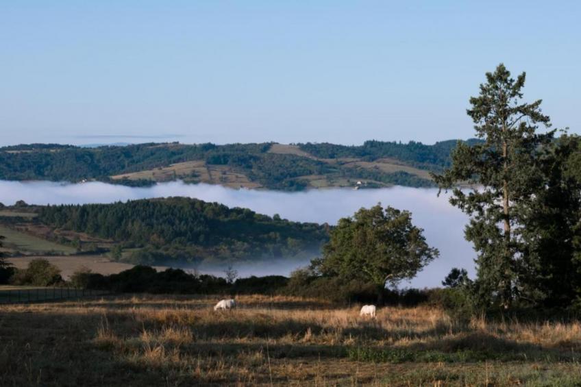 Gîte de Ville - foto 30