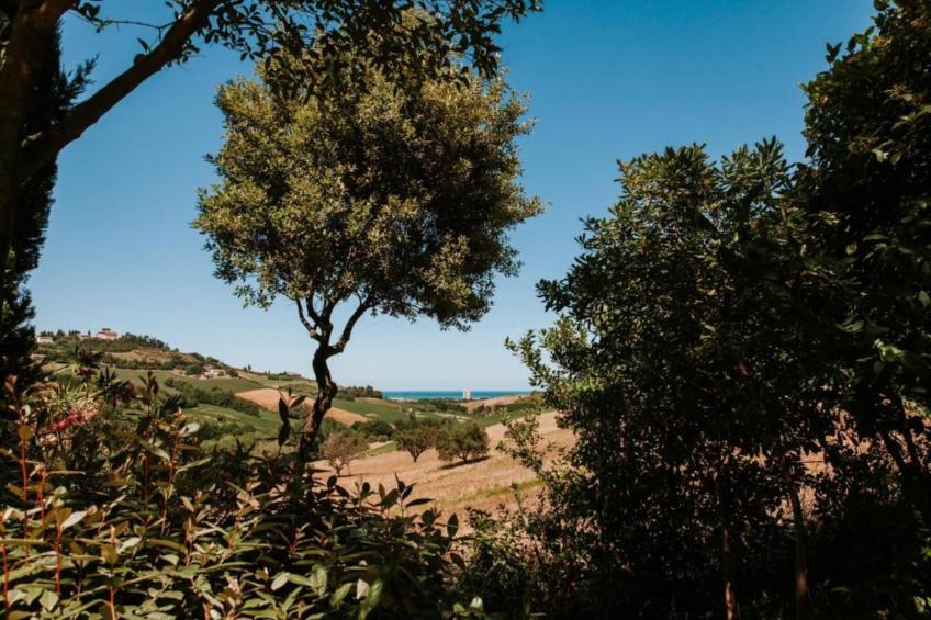 Vino - foto 34