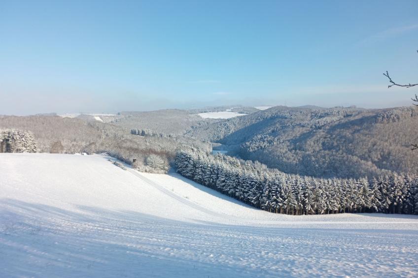 Appartement mit Balkon - foto 16