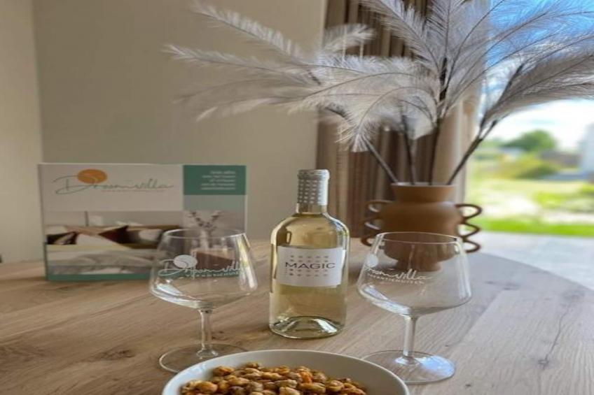 Slapen tussen de duinen - 53 - foto 29