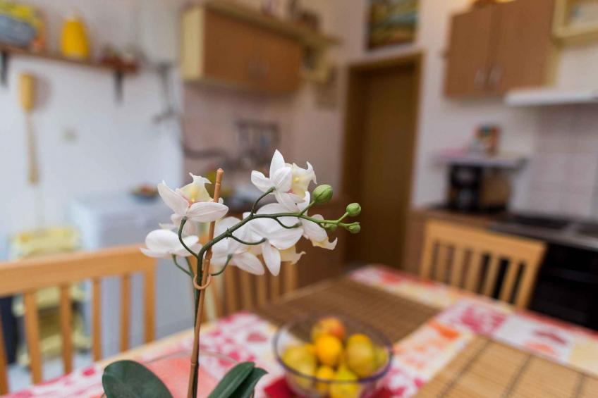 Holiday apartment 10 from the Adriatic - BF-YCJ7 - foto 14