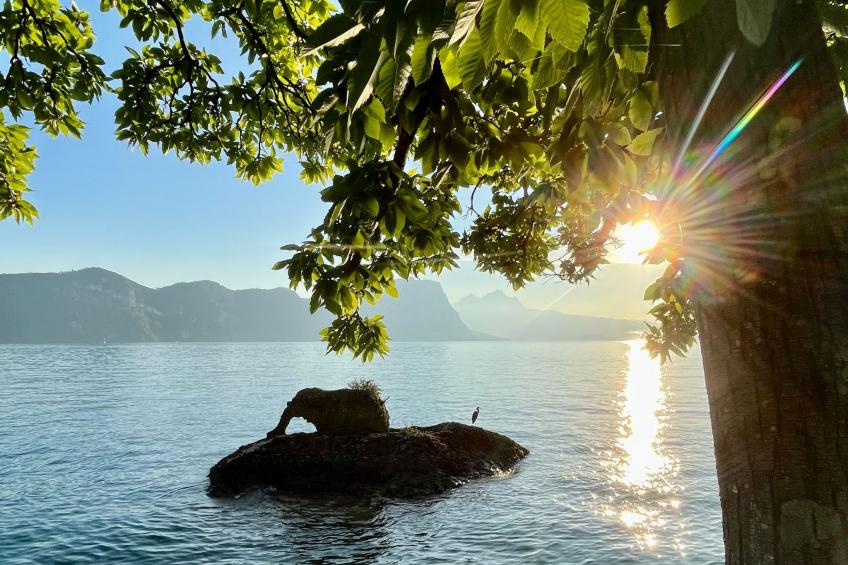 Chalet Bärgblick - foto 31